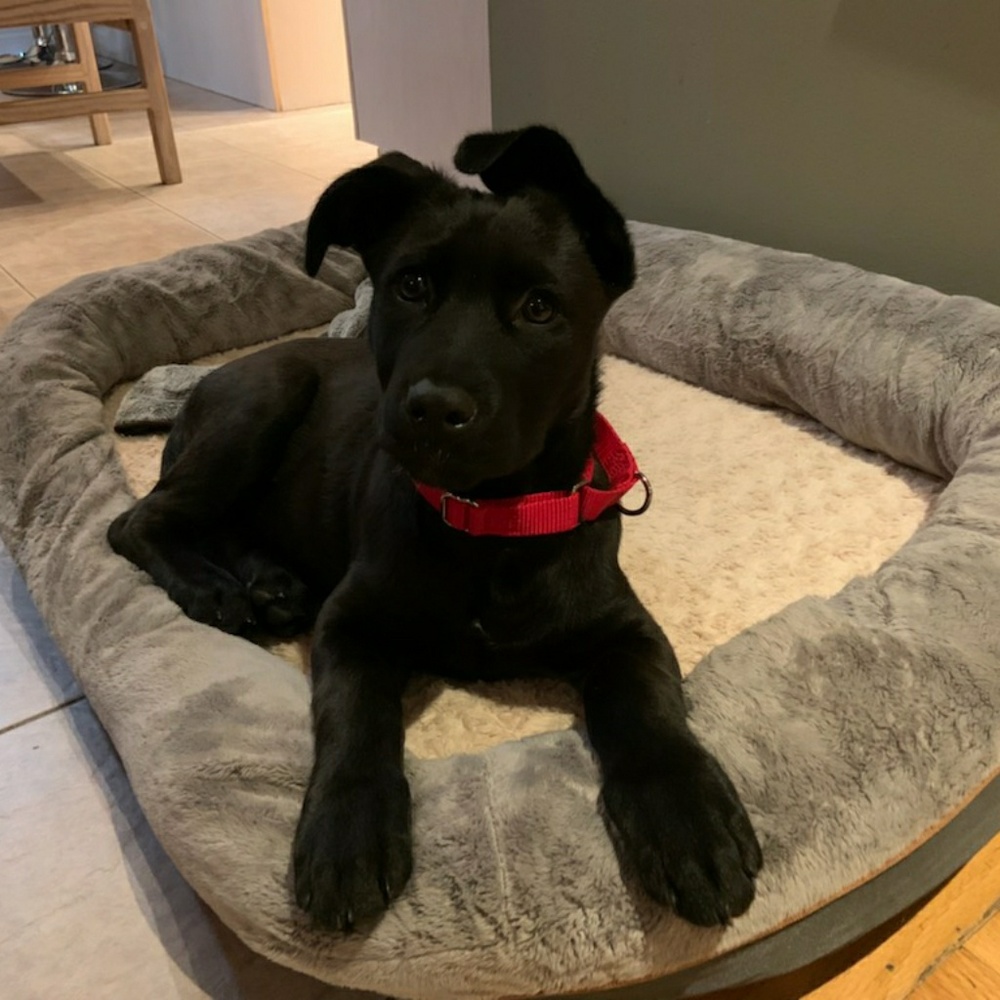 Meet your Posher, Eva